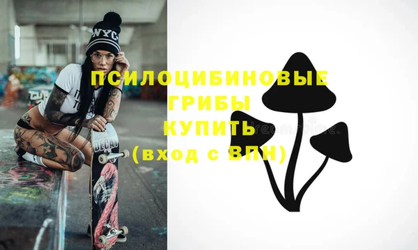 альфа пвп Горнозаводск