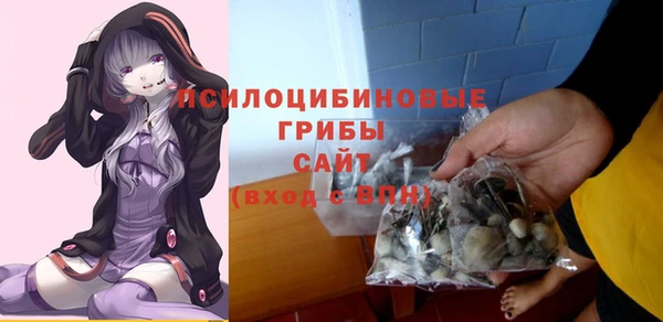 альфа пвп Горнозаводск