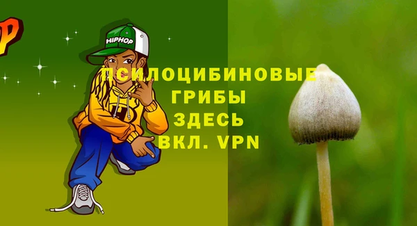 мдпв Горняк