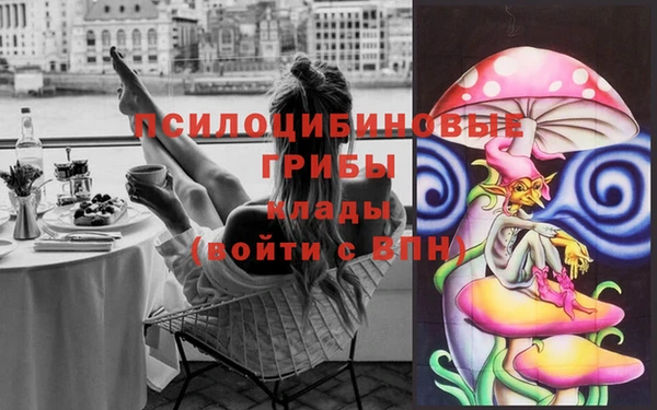 мдпв Горняк