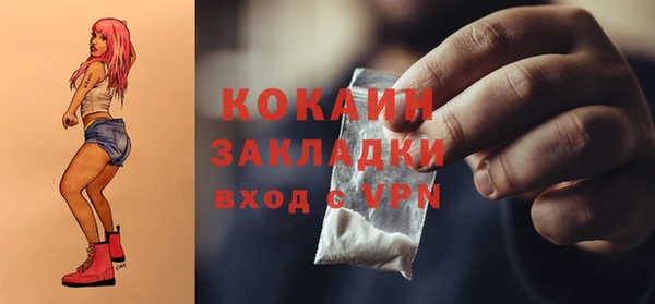 мдпв Горняк