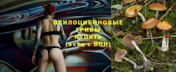 мдпв Горняк