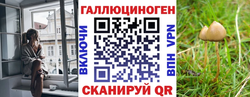 Галлюциногенные грибы Psilocybine cubensis  Камышин 